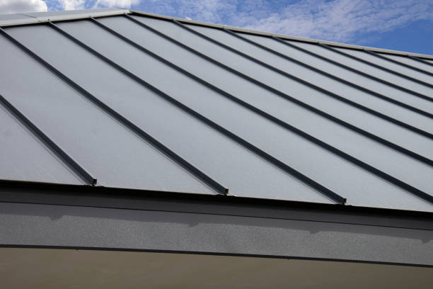 Best Solar Panel Roofing Installation  in Cape Neddick, ME